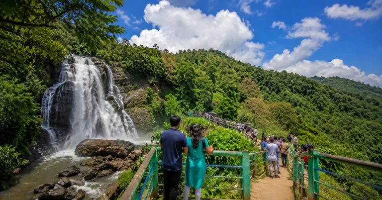 Top 20 Things to Do in Coorg: Waterfalls, Coffee Estates, Wildlife, Treks and Hidden Gems